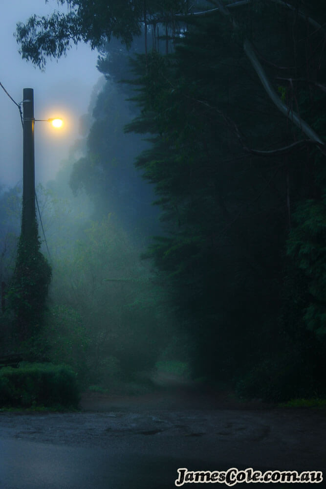 Foggy Morning - Mysterious Landscapes Photography