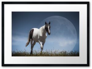 Lunar–Horse_redbubble_Framed_Print_black_bright_white_box