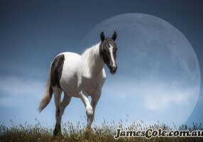 Lunar Horse - Fantasy Artwork by James Cole